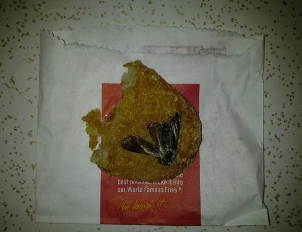 3. The slew of insects that have been reported as being found in McDonald's food.
