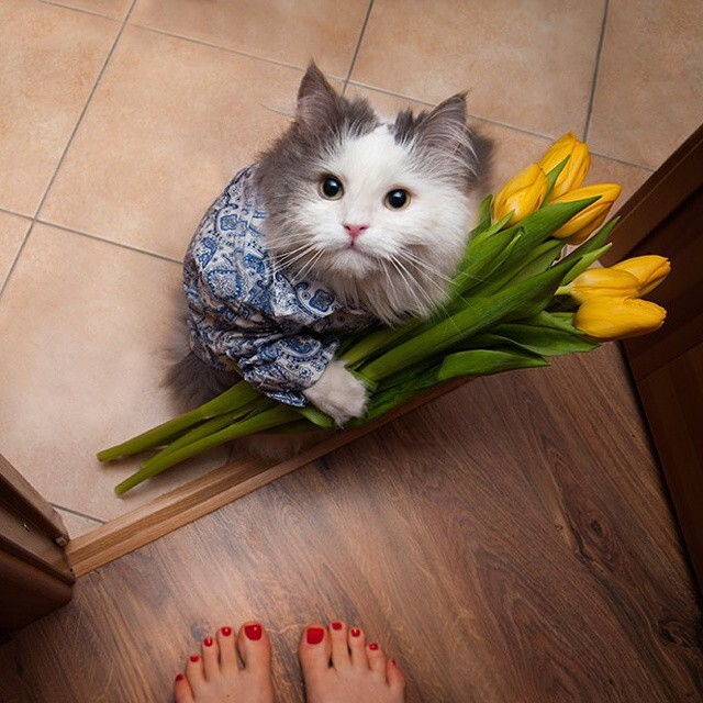 “This is my first day as a flower delivery boy and I’m requesting that my tip comes in the form of treats.”
