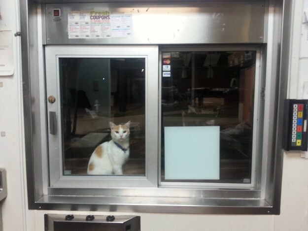 “Forgot i needed thumbs to open up this window and take your order, sorry!”