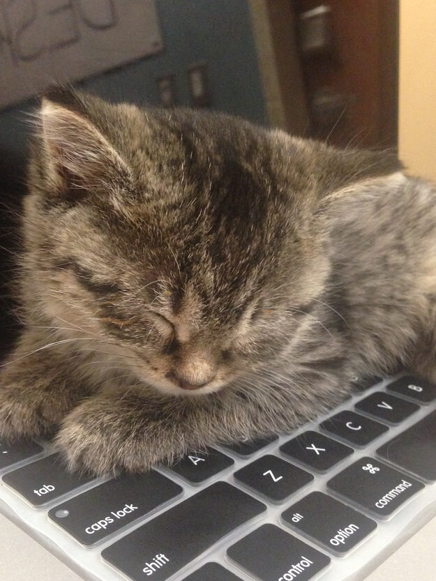 “Really glad I could fill the new position of professional keyboard warmer for you!”