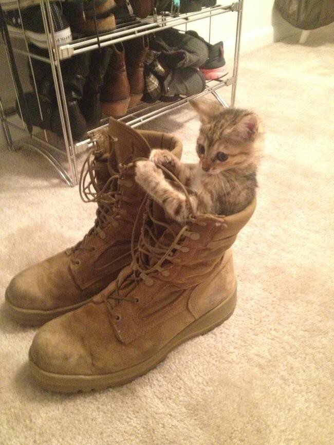 "These freakin' laces are so hard to tie without thumbs!"