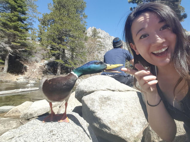 Ducks hate your selfies just as much as the rest of us.