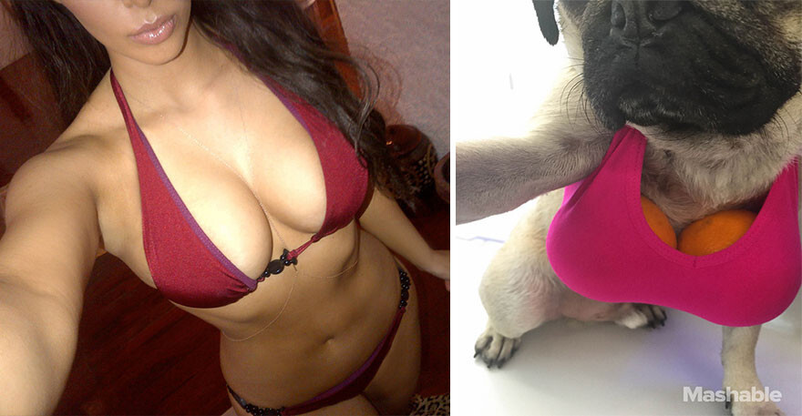 Pug Recreates Sexiest Kim Kardashian Selfies