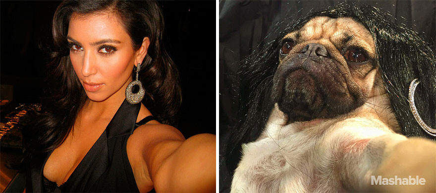 Pug Recreates Sexiest Kim Kardashian Selfies