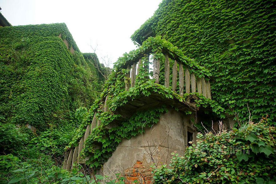 Abandoned Chinese Fishing Village Being Swallowed By Nature
