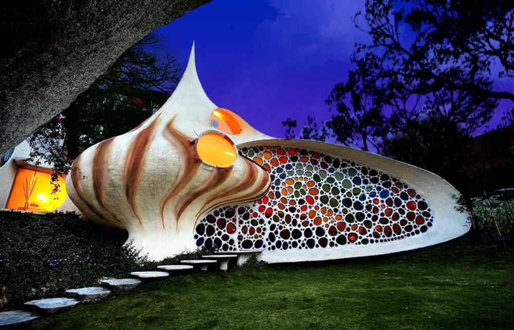 The Magic Conch Shell house