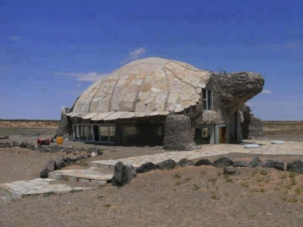 The tortoise house