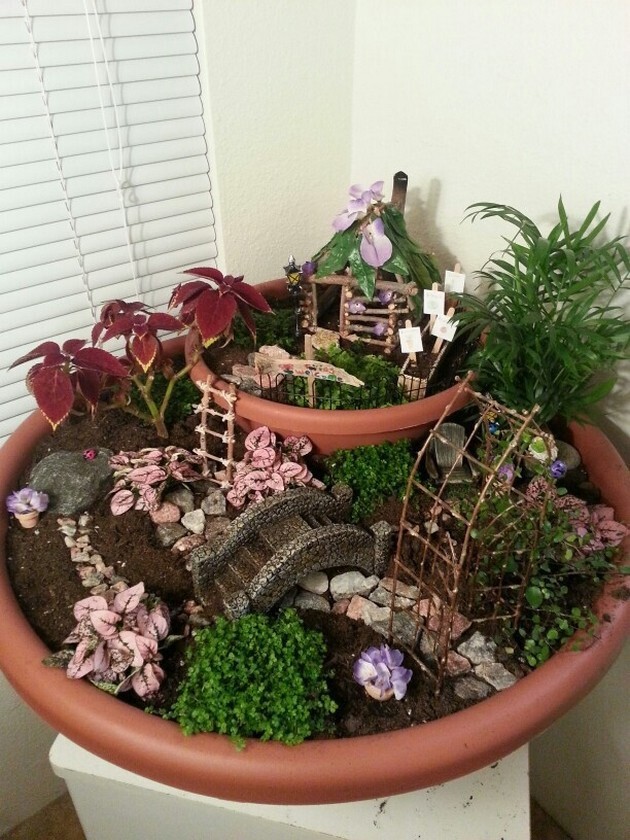 6. Potted Fairy Garden