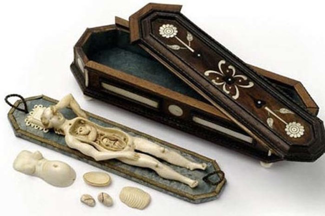 9. An anatomical model of a pregnant woman so doctors wouldn't have to teach using a real woman. The coffin reinforces that only the anatomies of dead people should be studied. Circa 1680.