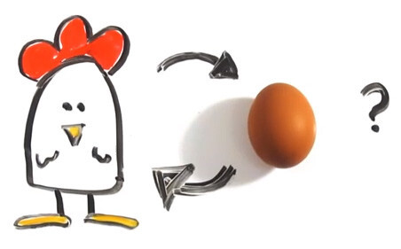 5. Scientists finally concluded that the chicken came first, not the egg. 