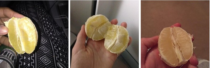 Though that’s nothing compared to the people who’ll just eat a lemon instead. As a quick snack