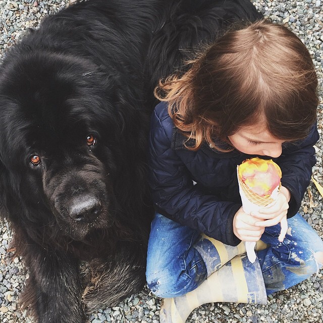 Mom Documents The Friendship Between A Boy And His Pets