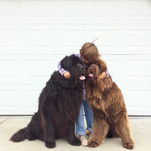 Mom Documents The Friendship Between A Boy And His Pets