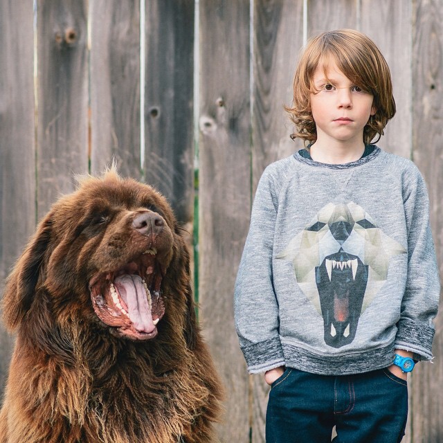 Mom Documents The Friendship Between A Boy And His Pets