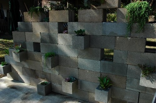 12. Create a succulent planter wall!
