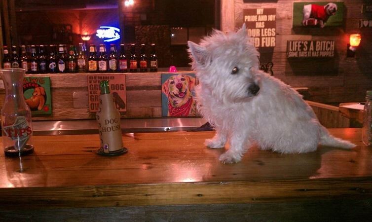 15. The Dog House Drinkery–Seattle, Washington