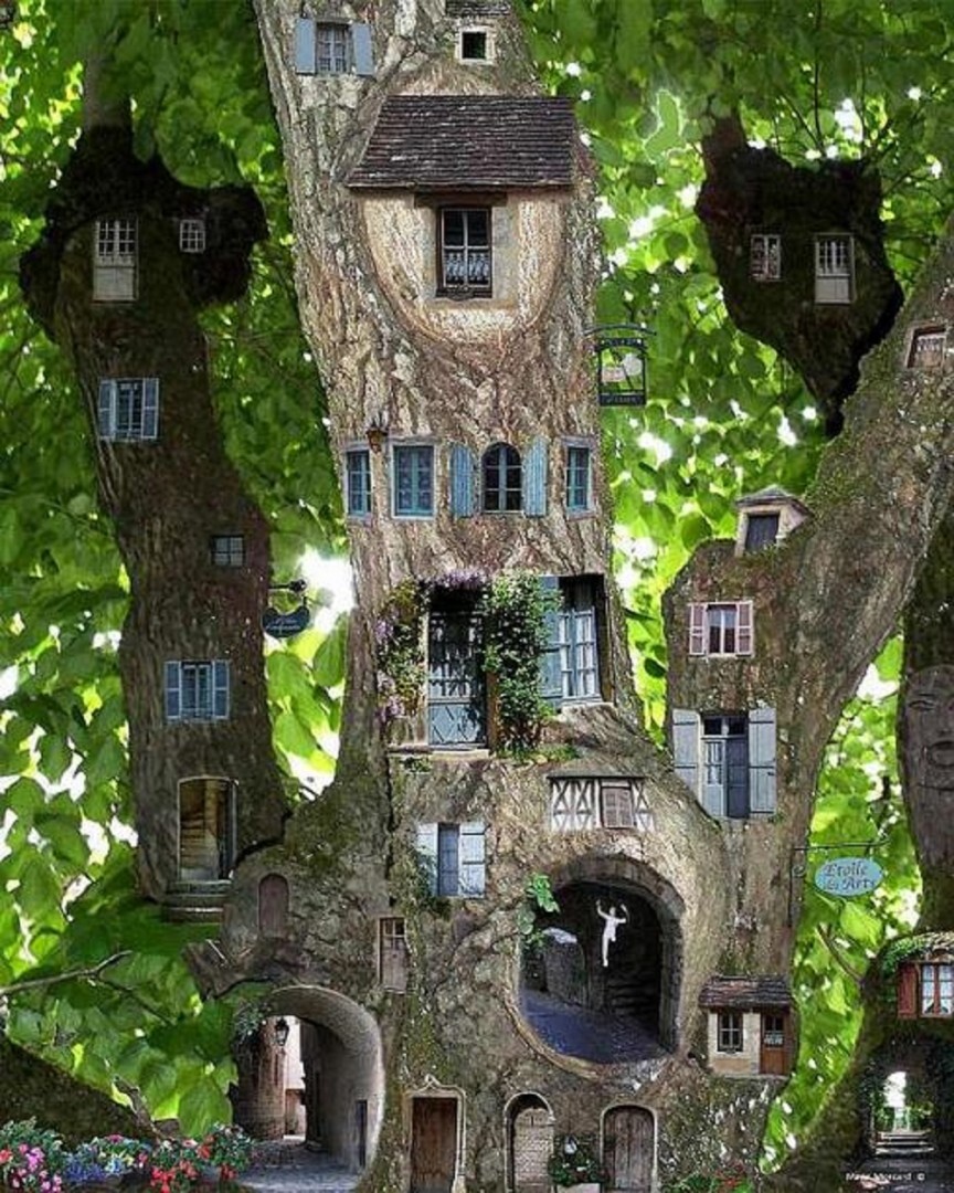 5. Houses Embedded in the Tree