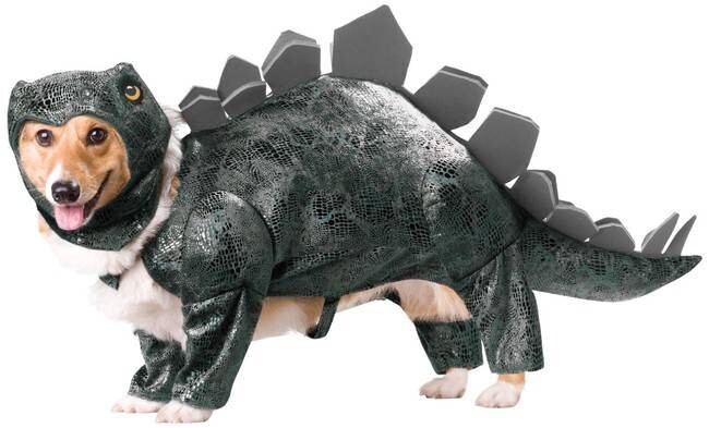 11. Stegosaurus