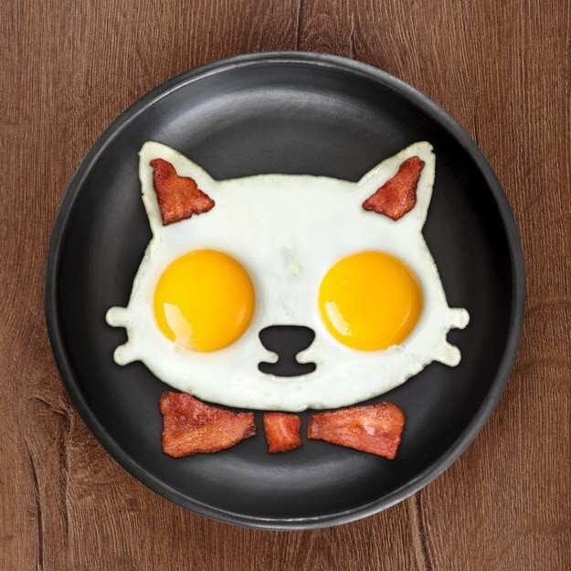 An egg mold for cat lovers.