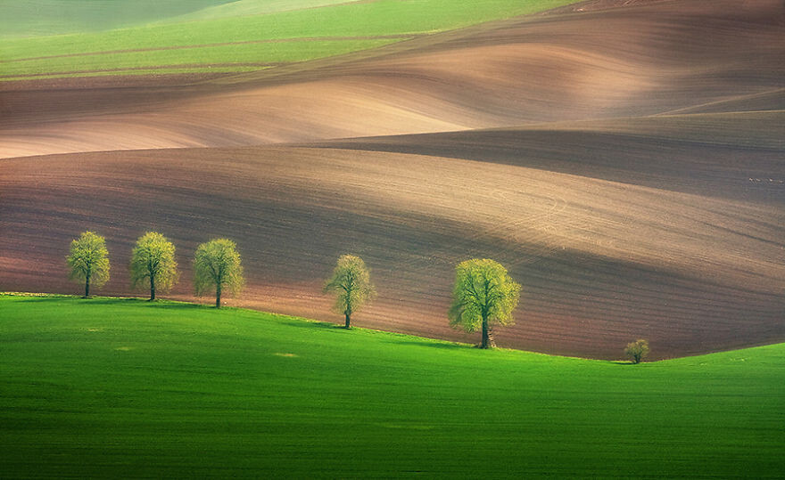 Hypnotizing Beauty Of Moravian Fields In The Chech Republic