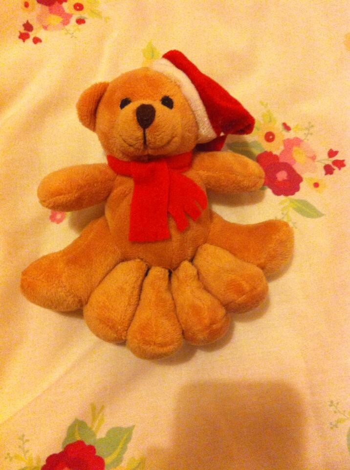 2. She asked her parents for a six-foot teddy bear for Christmas. They got her this: