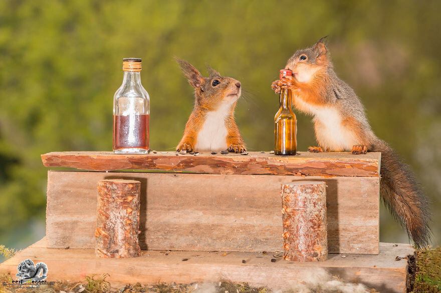 Drinking buddies
