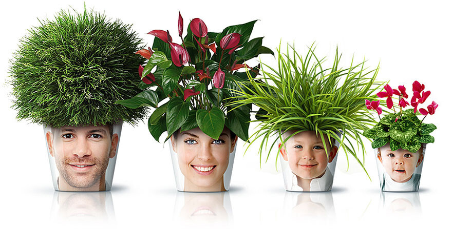 #15 Flower Pot Heads