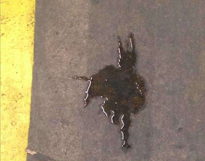 18. This oil spill looks like Batman fleeing