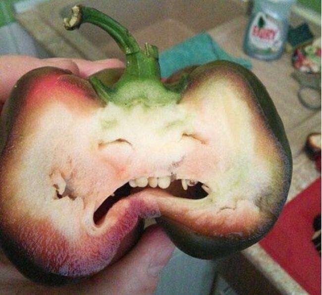 19. This pepper is just devastated