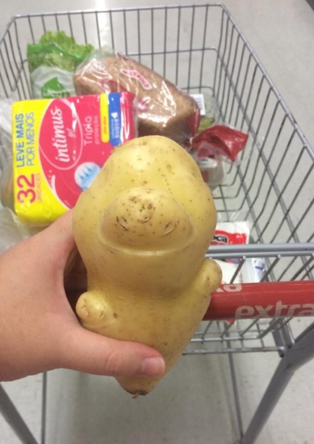 And that’s when she saw this potato. “She looked like a little baby with little arms,” Bernardo told