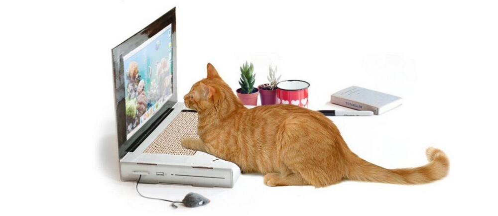 Laptop-shaped cat scratching pad