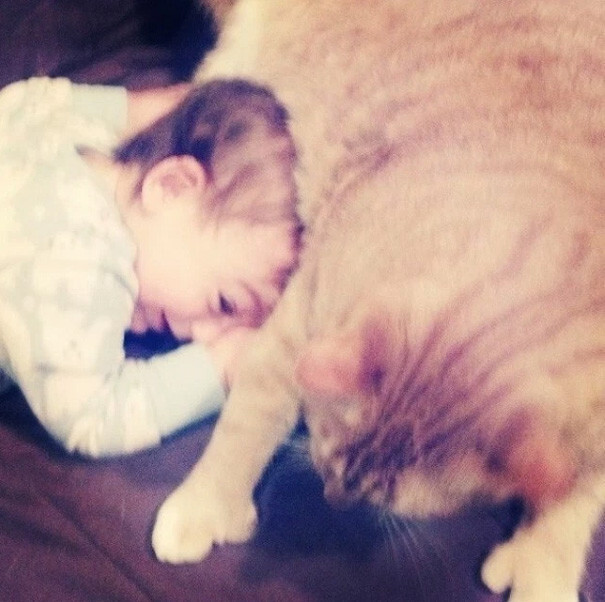 Unwanted Cat Becomes This Little Boy’s Guardian, Following Him Everywhere