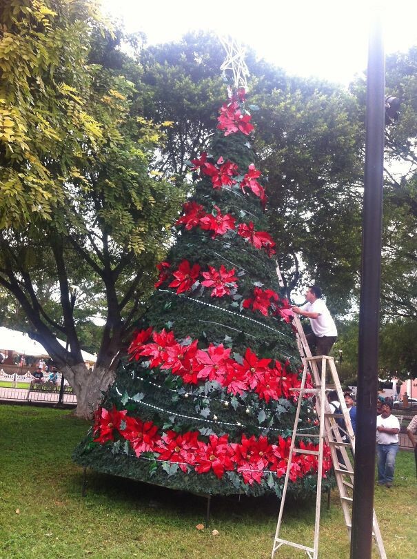 People Are Decorating Their Christmas Trees With Flowers And The Results Are Beautiful