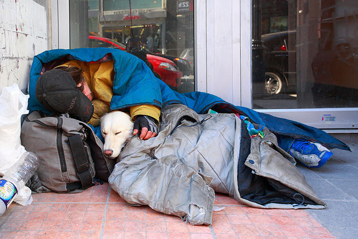 #14 Homeless Man With His Closest Companion