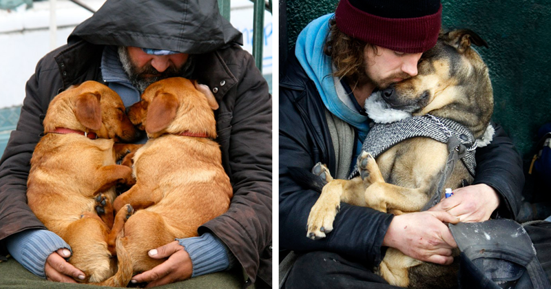 15+ Photos That Prove Dogs Love You No Matter How Much Money You Don’t Have