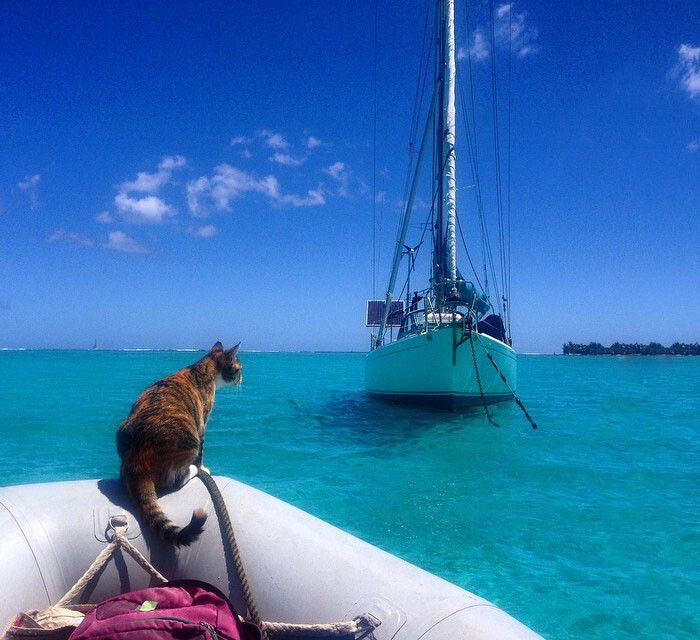 Liz Clark has been sailing around the world since 2006 when she quit her job as a bartender