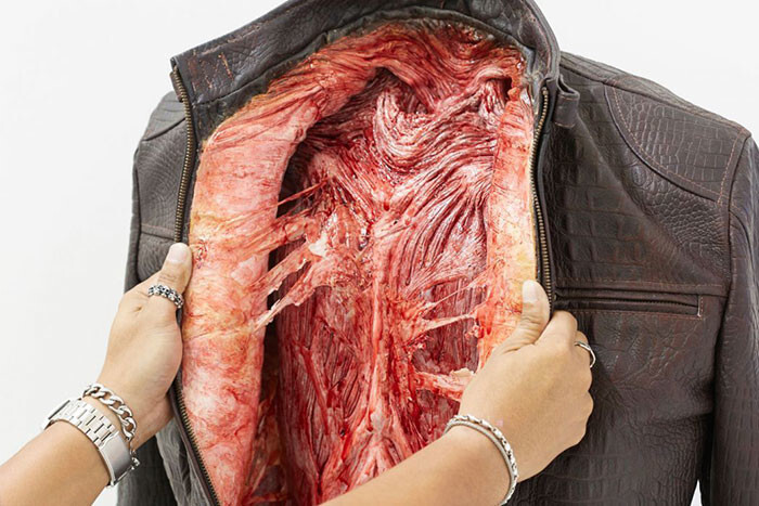 Leather purses, jackets, and even gloves were filled with fake animal flesh and blood