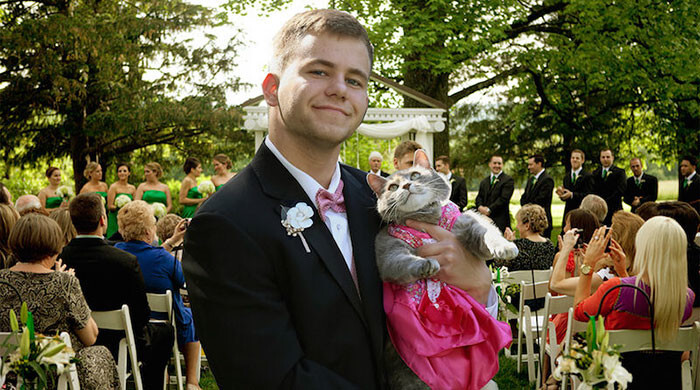 Guy Couldn’t Find A Date For Prom So He Took His Cat Instead