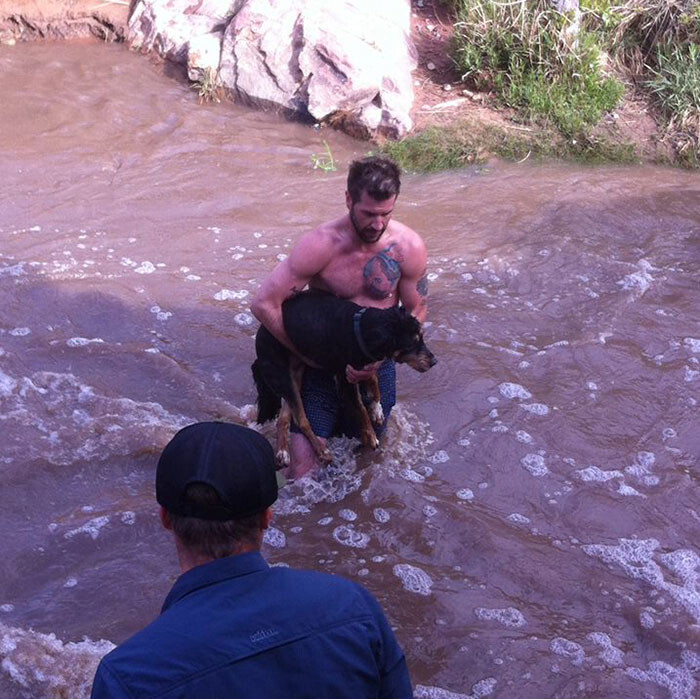 The senior dog was swept away by the raging waters of Mill Creek but this brave stranger jumped right after her