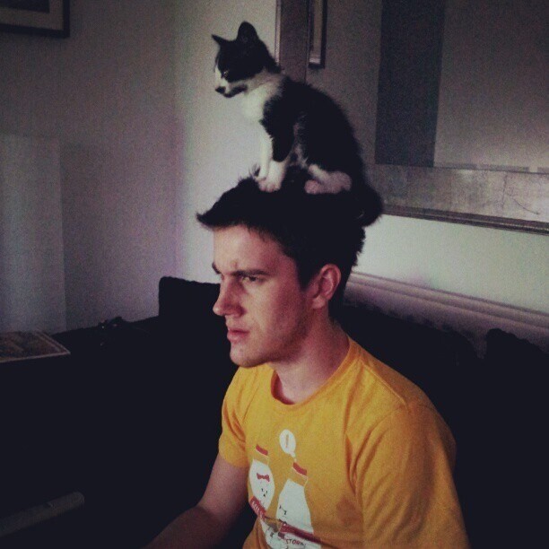 15. There is scientific evidence that a cat hat can improve your concentration levels (probably).
