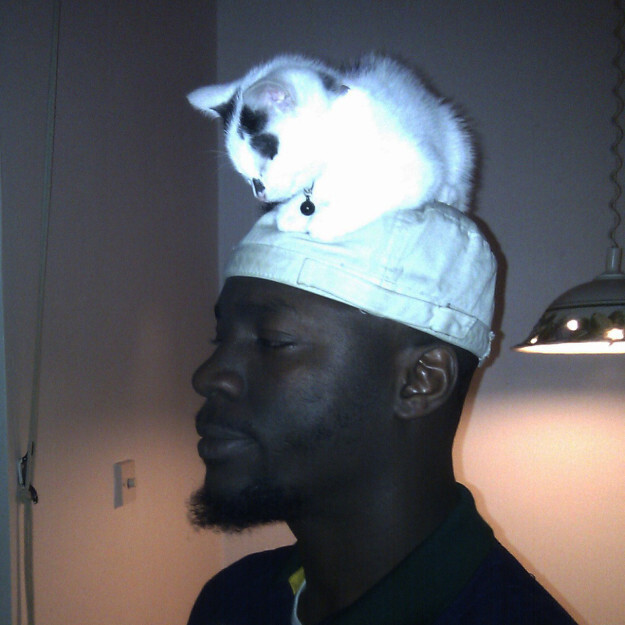 17. So don’t be embarrassed by your cat hat.