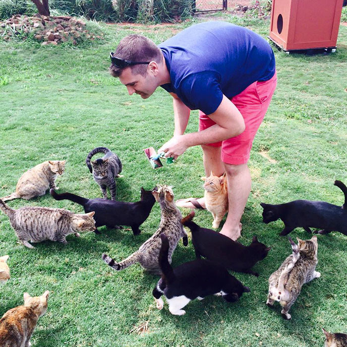 Lanai Cat Sanctuary in Hawaii is home to almost 500 cats