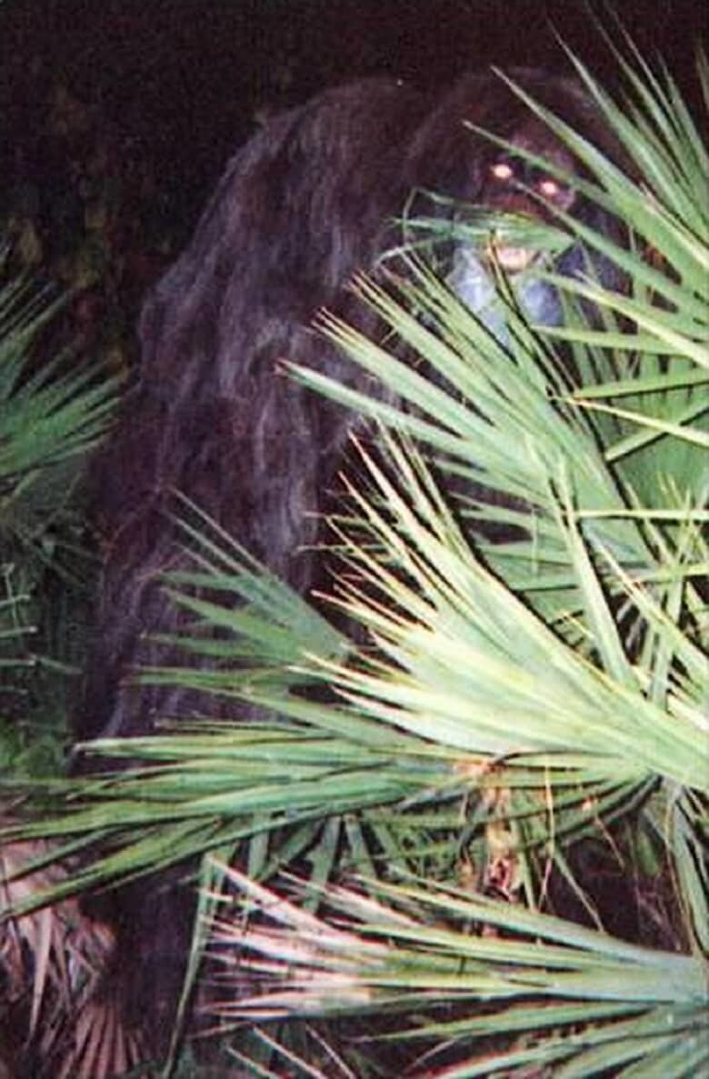 13. Skunk Ape