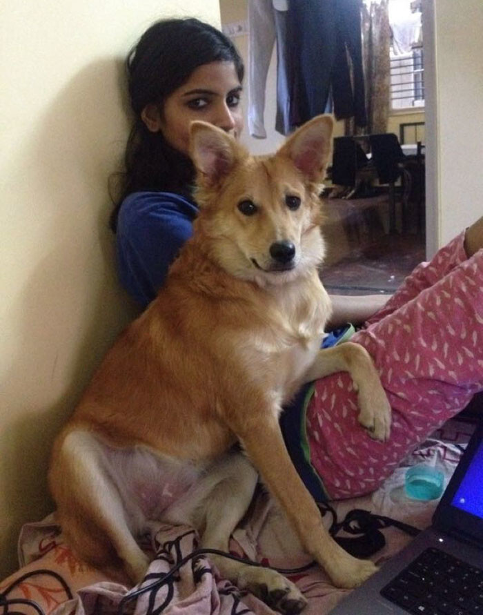 Meet Karishma Walia – an analyst currently based in New Dehli, and her adorable pup Lucy