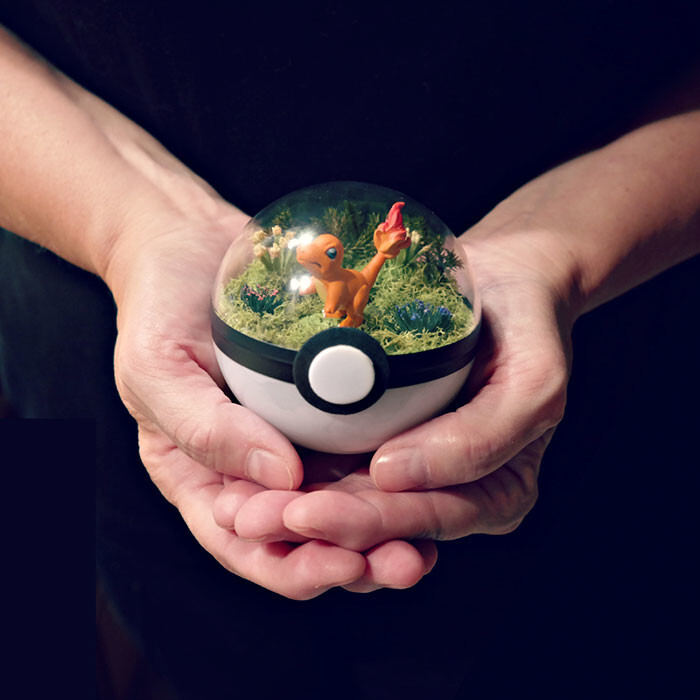 Pokeball Terrariums Are A Thing Now But The Demand Is So Big It’s Hard To ‘Catch’ Them
