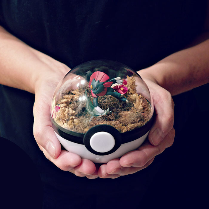 Pokeball Terrariums Are A Thing Now But The Demand Is So Big It’s Hard To ‘Catch’ Them