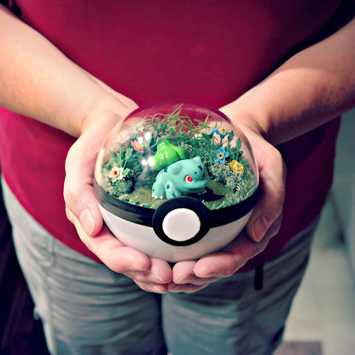 Pokeball Terrariums Are A Thing Now But The Demand Is So Big It’s Hard To ‘Catch’ Them