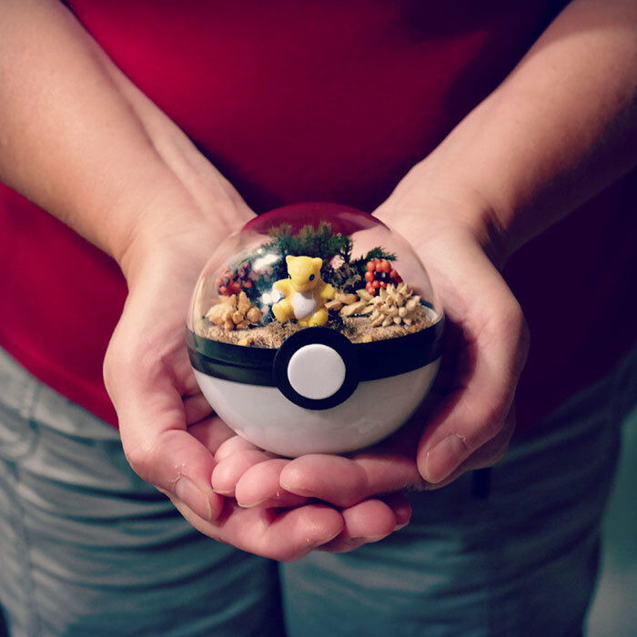 Pokeball Terrariums Are A Thing Now But The Demand Is So Big It’s Hard To ‘Catch’ Them