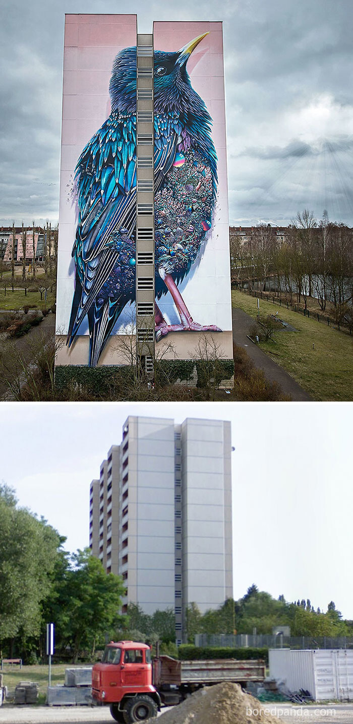 #6 Giant Starling Mural In Berlin
