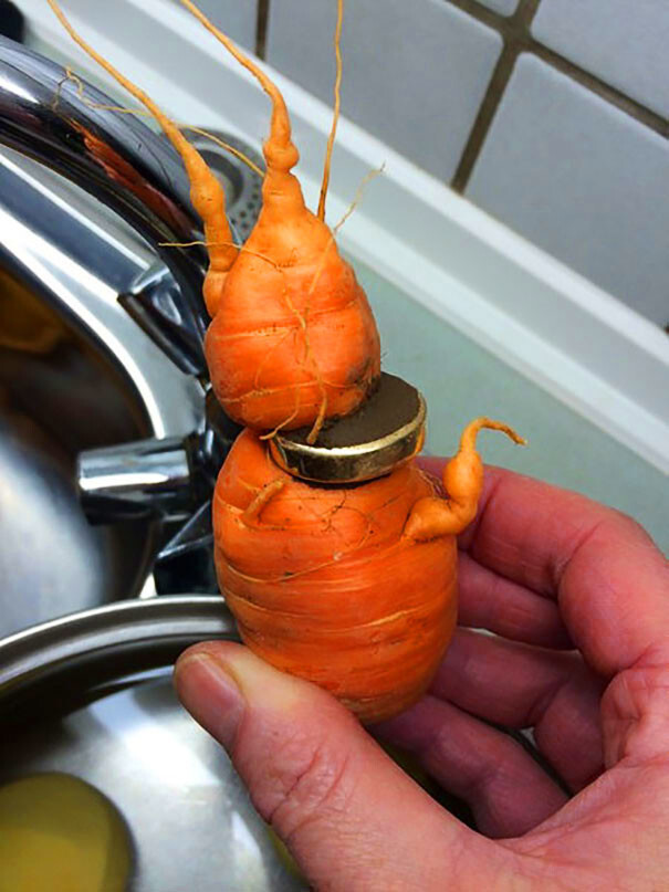 82-Year-Old Man Just Discovered His Lost Wedding Ring In Carrot From His Own Garden